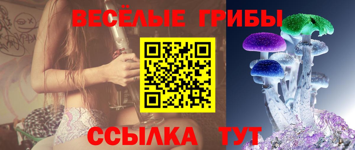 купить наркотики сайты  Псилоцибиновые грибы Magic Shrooms  Вход с VPN  Сегежа 